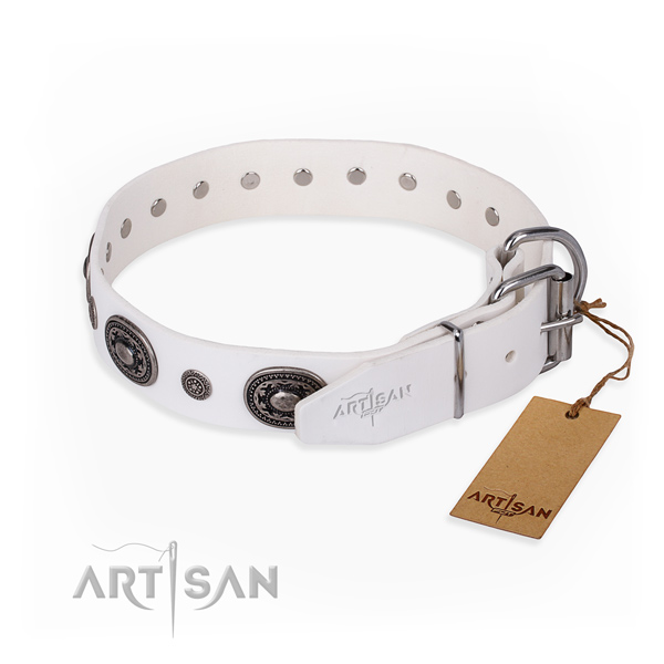 High quality leather dog collar made for everyday use