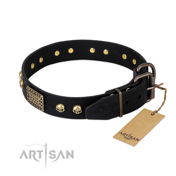 Corrosion proof traditional buckle on daily walking dog collar