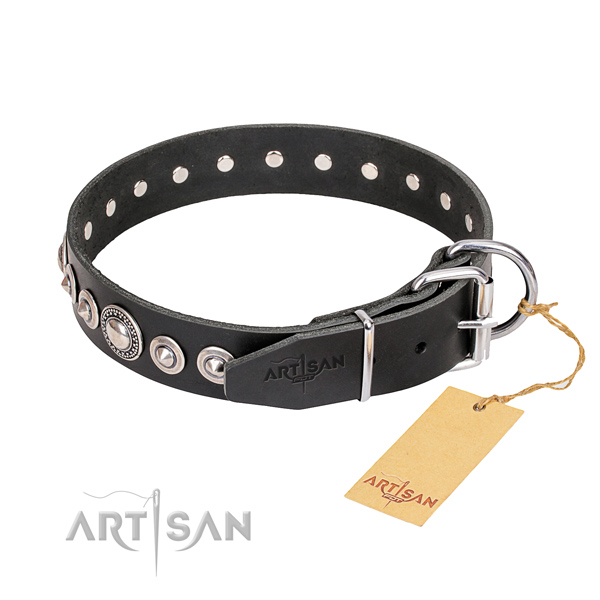 Top notch studded dog collar of leather