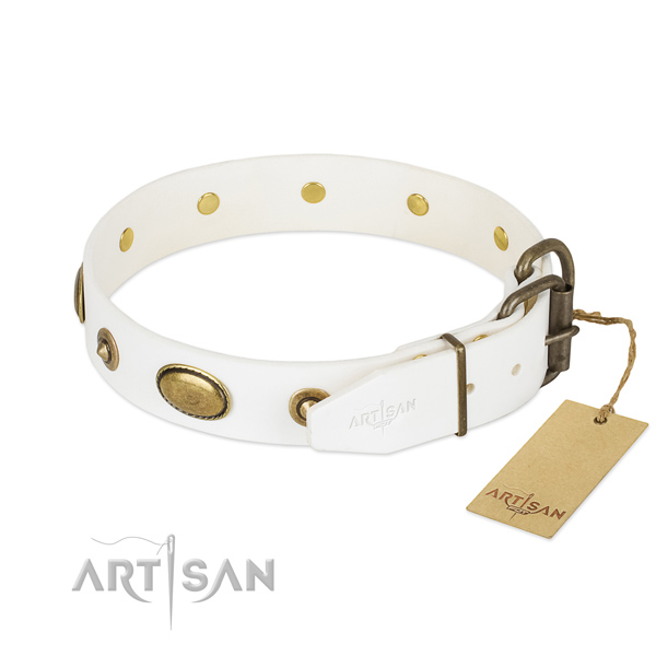 Corrosion resistant traditional buckle on full grain natural leather dog collar for your canine