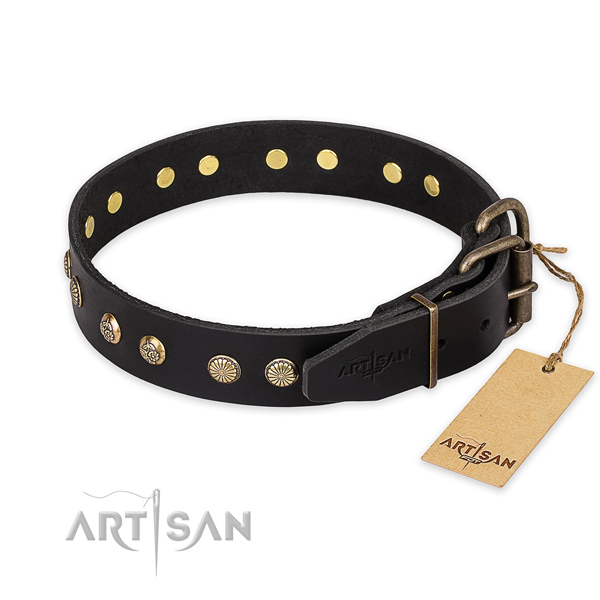 Durable traditional buckle on leather collar for your attractive canine