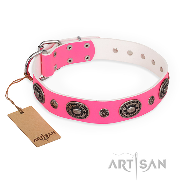 Strong genuine leather dog collar created for comfy wearing