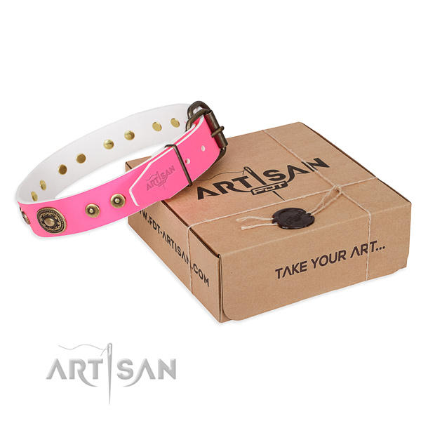 Full grain leather dog collar made of quality material with strong traditional buckle