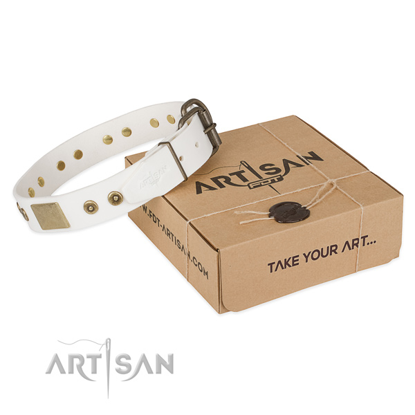 Perfect fit leather collar for your attractive dog