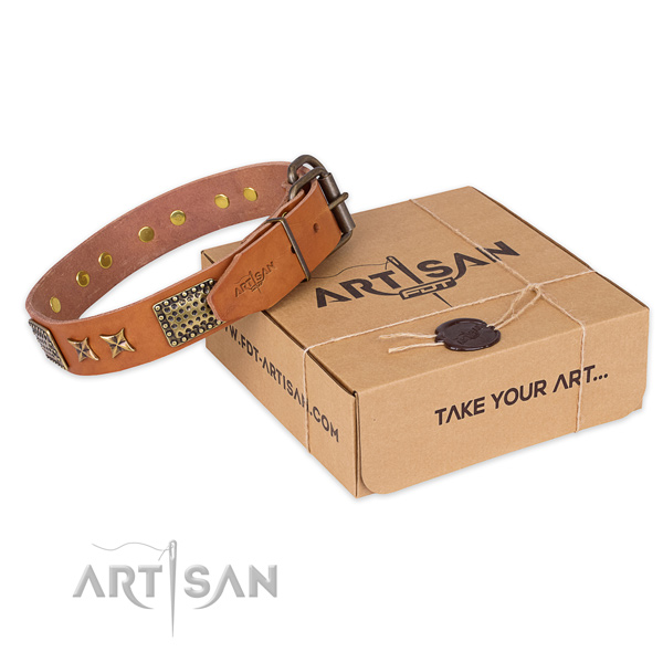 Rust-proof buckle on leather collar for your attractive doggie