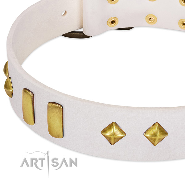 Gentle to touch leather dog collar with rust resistant buckle