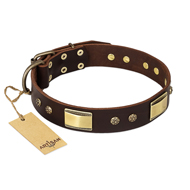 "Rich Fashion" FDT Artisan Decorated Leather Dogue de Bordeaux Collar with Plates and Studs