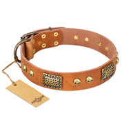 "Saucy Nature" FDT Artisan Tan Leather Dogue de Bordeaux Collar with Old Bronze Look Plates and Skulls