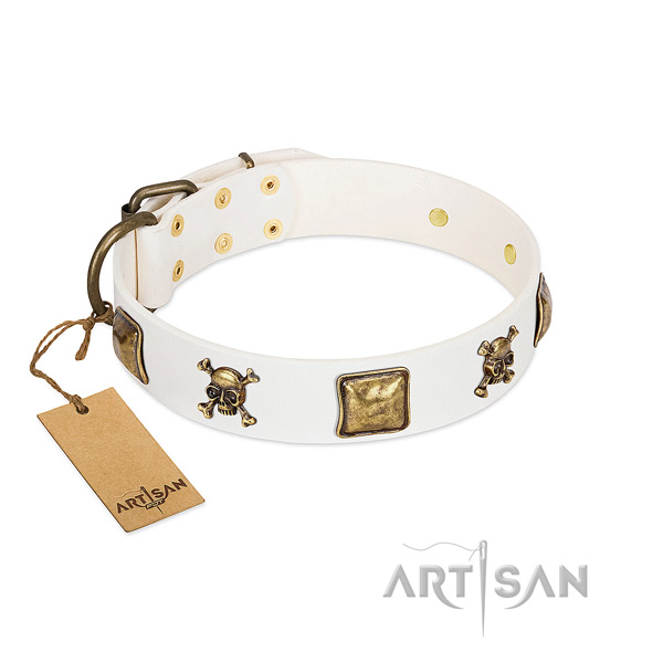 Stylish leather dog collar with strong decorations