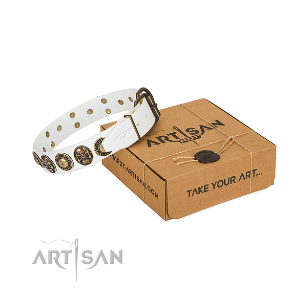 Rust-proof adornments on dog collar for walking