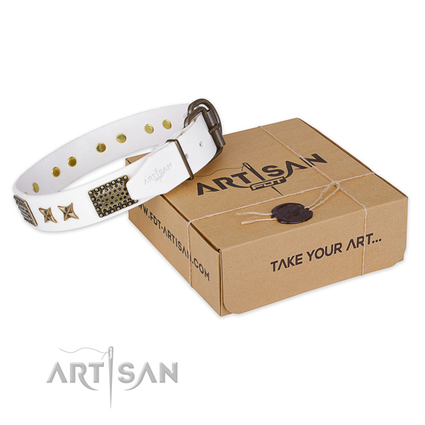 Strong D-ring on full grain natural leather collar for your impressive canine