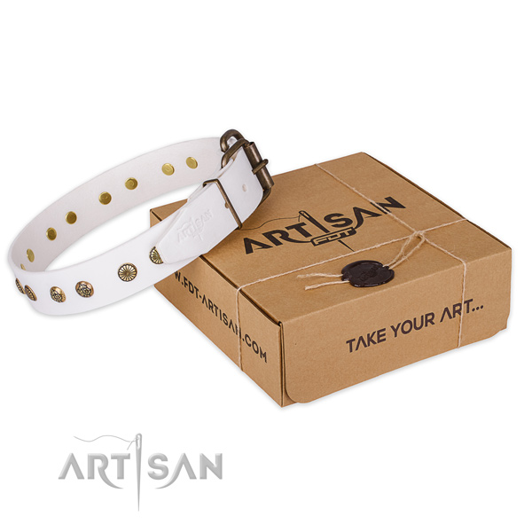 Durable traditional buckle on natural genuine leather collar for your impressive dog