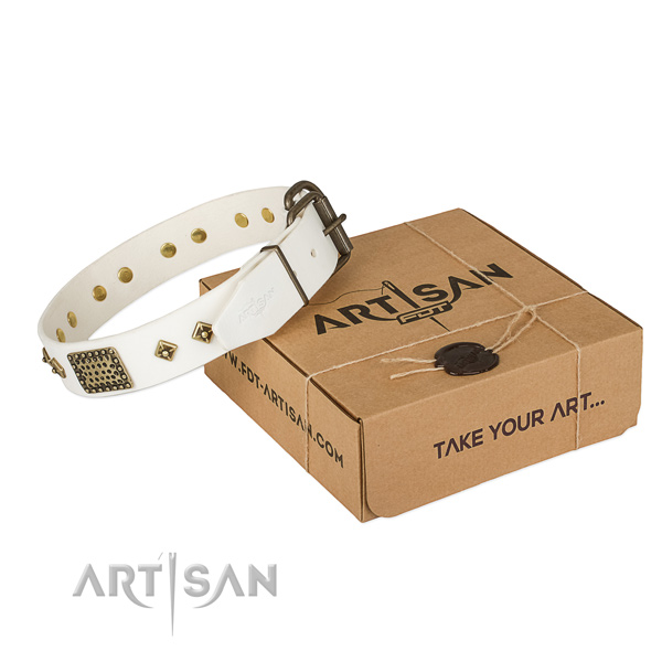 Exquisite full grain leather collar for your attractive doggie