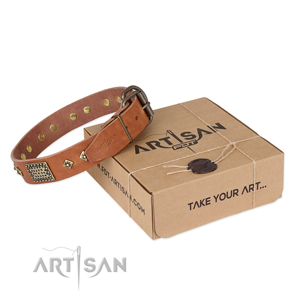 Stunning natural leather collar for your handsome dog
