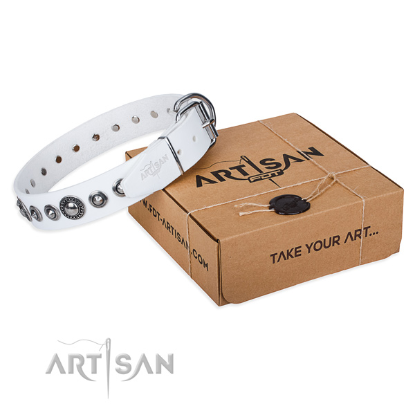 Full grain natural leather dog collar made of soft material with rust resistant traditional buckle