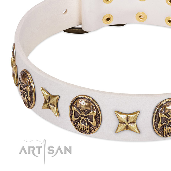 Unique dog collar made for your attractive dog