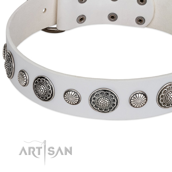 Full grain leather collar with rust resistant D-ring for your stylish pet