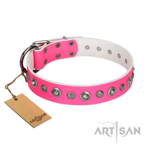 Top notch genuine leather dog collar with remarkable studs