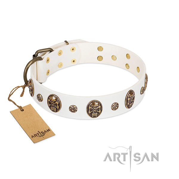 Impressive natural genuine leather collar for your pet