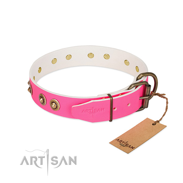 Full grain leather dog collar with reliable D-ring and embellishments