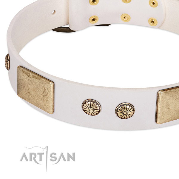 Durable traditional buckle on leather dog collar for your canine