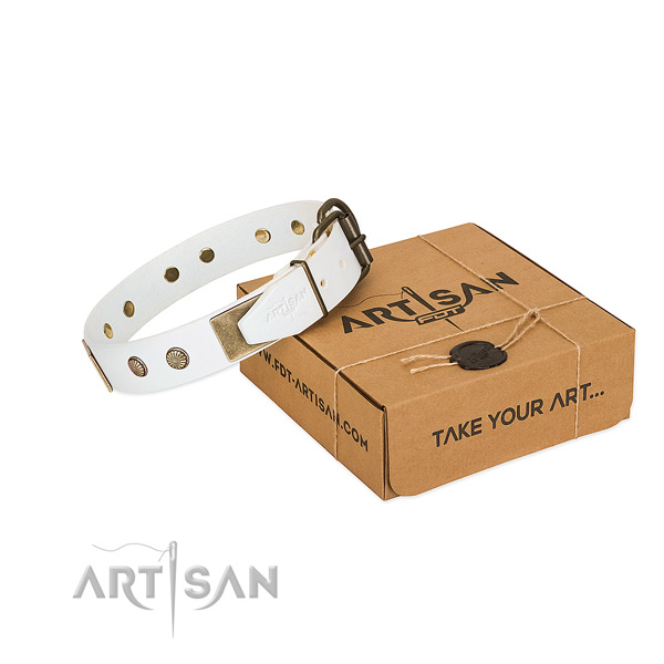 Corrosion resistant hardware on dog collar for easy wearing