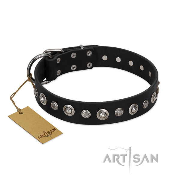 Reliable full grain genuine leather dog collar with impressive studs