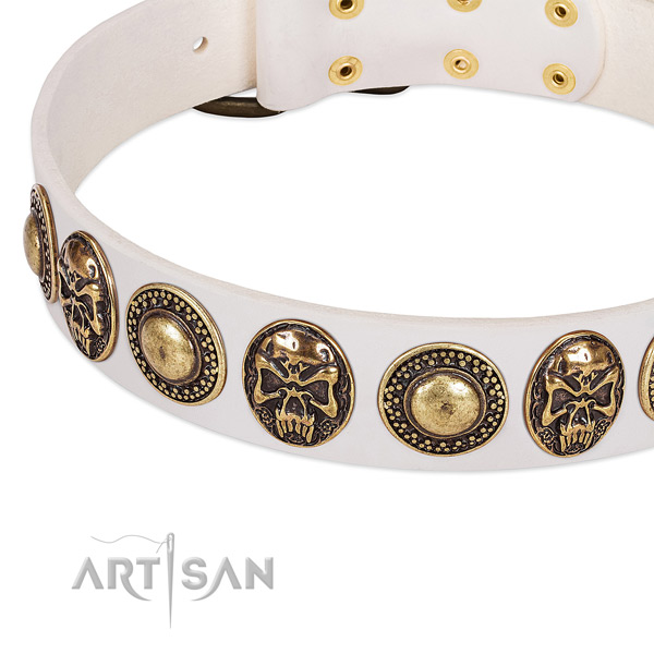 Durable decorations on genuine leather dog collar for your doggie