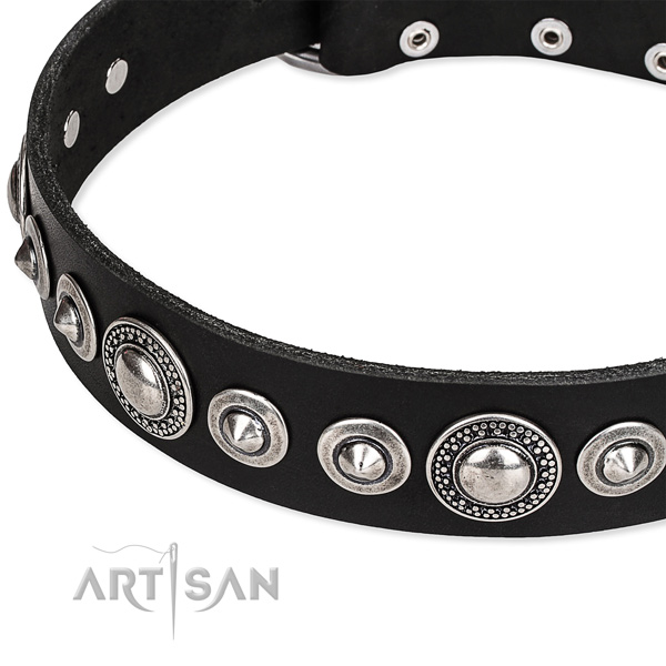 Walking embellished dog collar of reliable full grain genuine leather