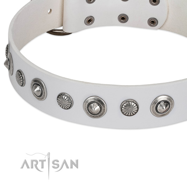 Natural leather collar with durable D-ring for your beautiful four-legged friend