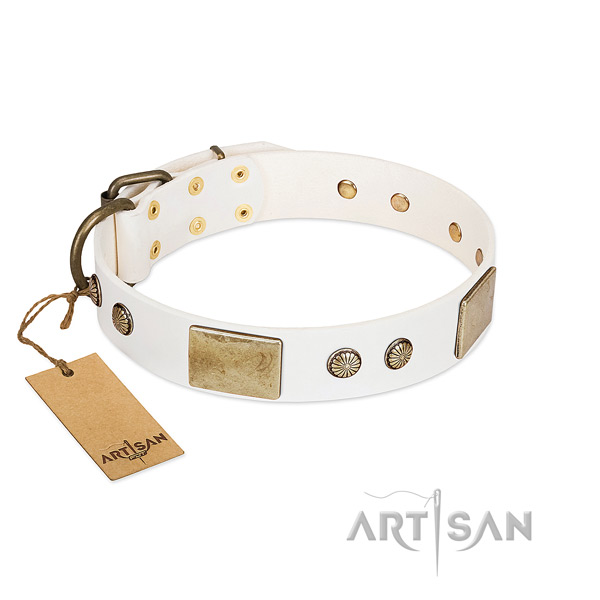 Easy wearing full grain genuine leather dog collar for walking your pet