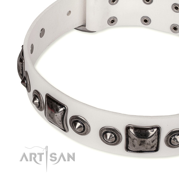Quality full grain genuine leather dog collar crafted for your impressive canine