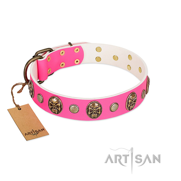 Reliable studs on genuine leather dog collar for your four-legged friend