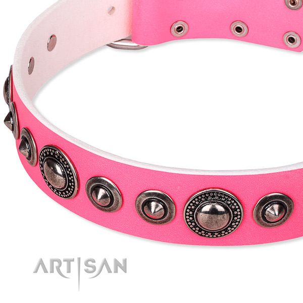 Comfy wearing embellished dog collar of reliable full grain genuine leather