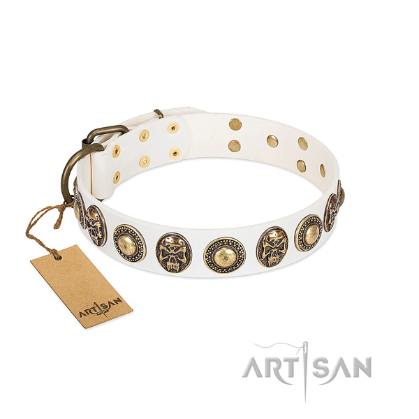 Adjustable genuine leather dog collar for walking your doggie