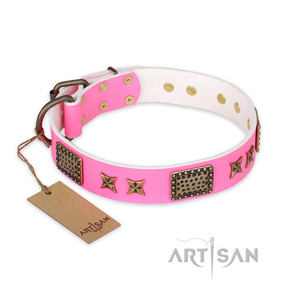 Exceptional full grain leather dog collar with durable traditional buckle