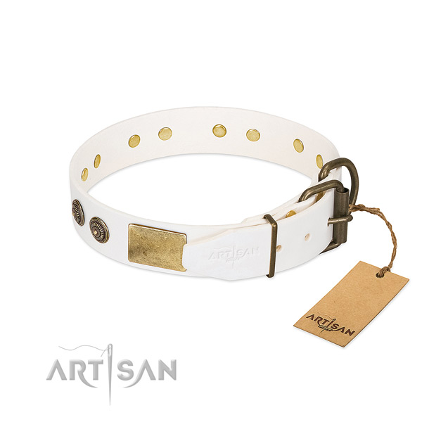Rust-proof hardware on full grain genuine leather collar for walking your canine