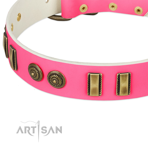 Durable traditional buckle on natural leather dog collar for your doggie