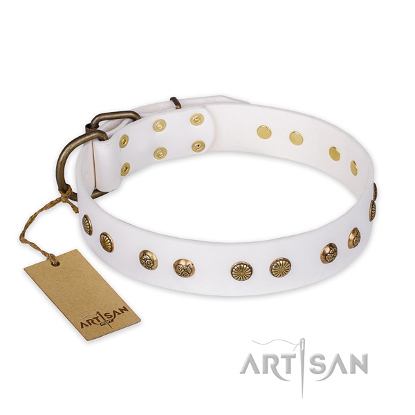 Perfect fit genuine leather dog collar with corrosion resistant hardware
