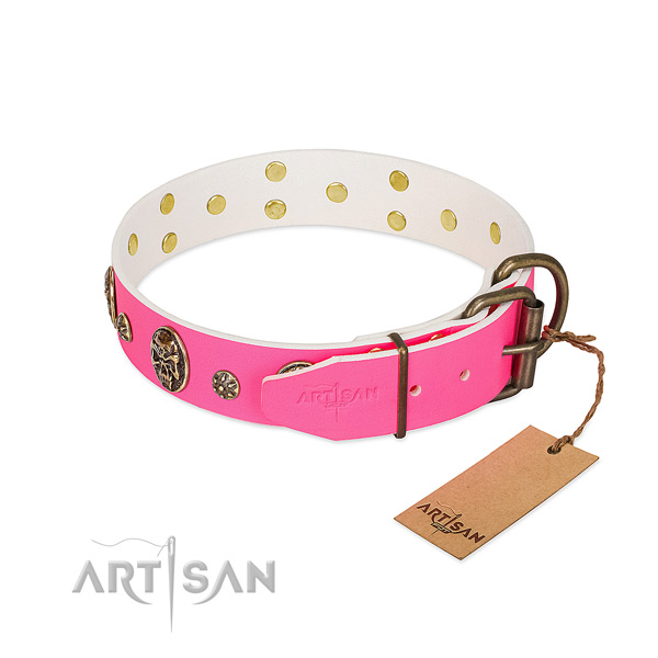 Reliable fittings on full grain leather collar for basic training your dog