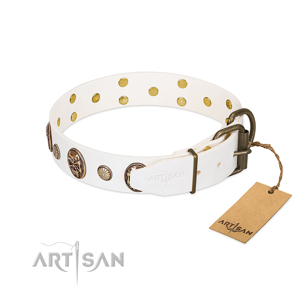 Durable fittings on natural genuine leather collar for daily walking your doggie