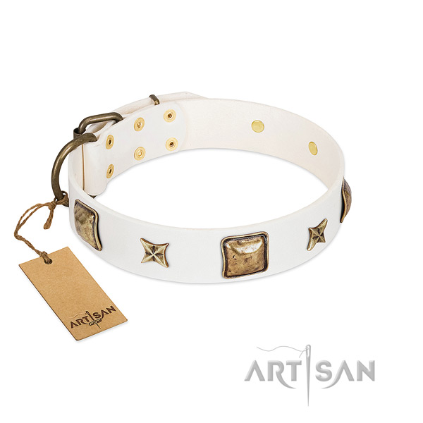 Easy wearing full grain natural leather dog collar for everyday use