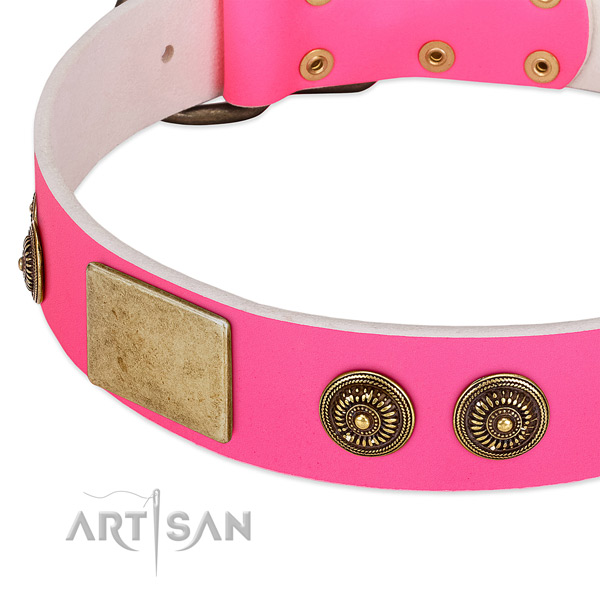 Studded dog collar made for your beautiful dog