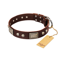 "Pirate Skull" FDT Artisan Brown Leather Dogue de Bordeaux Collar with Old Silver Look Plates and Skulls