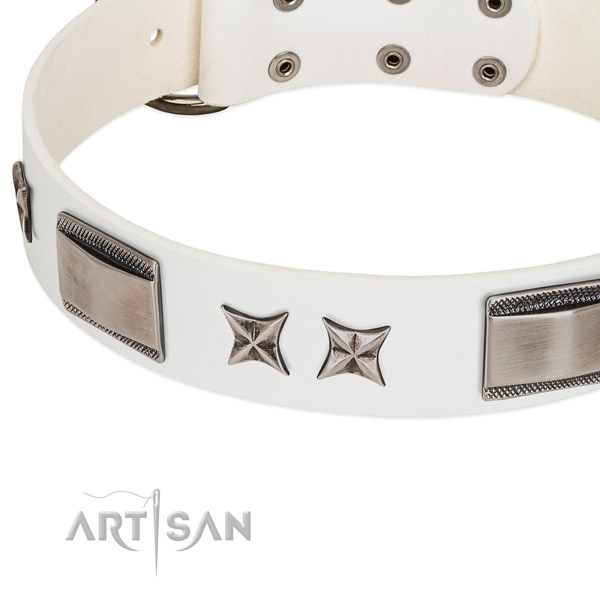 Best quality full grain natural leather dog collar with corrosion resistant fittings