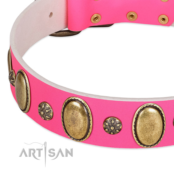 High quality genuine leather dog collar with rust resistant D-ring