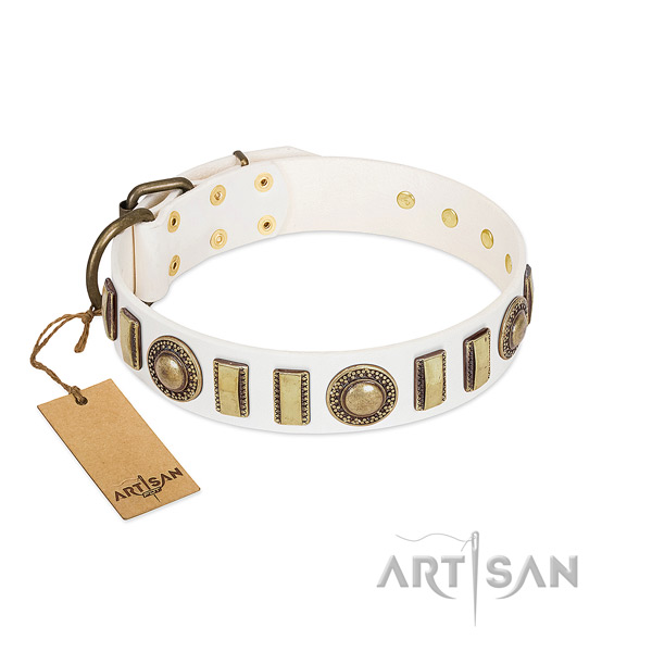 Studded genuine leather dog collar with corrosion resistant D-ring
