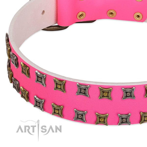 Full grain genuine leather dog collar with inimitable adornments