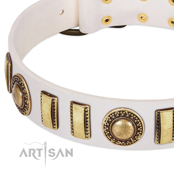 Soft full grain leather dog collar with durable buckle