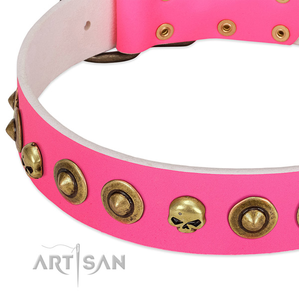 Remarkable adornments on full grain leather collar for your canine